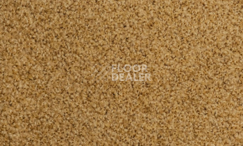 Ковролин Vorwerk Exclusive1009/Elara 2d91 фото 1 | FLOORDEALER